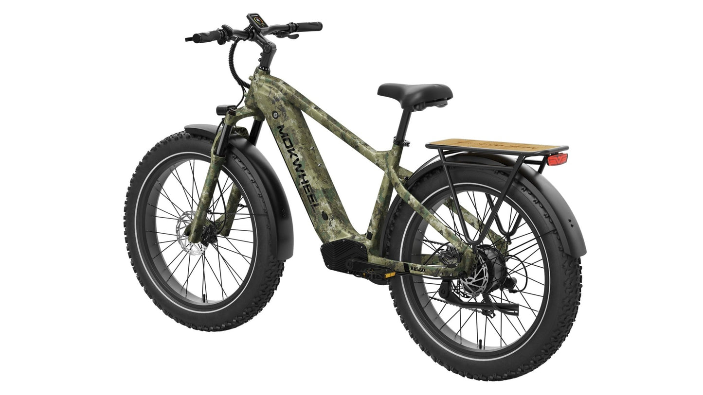 Basalt Ebike