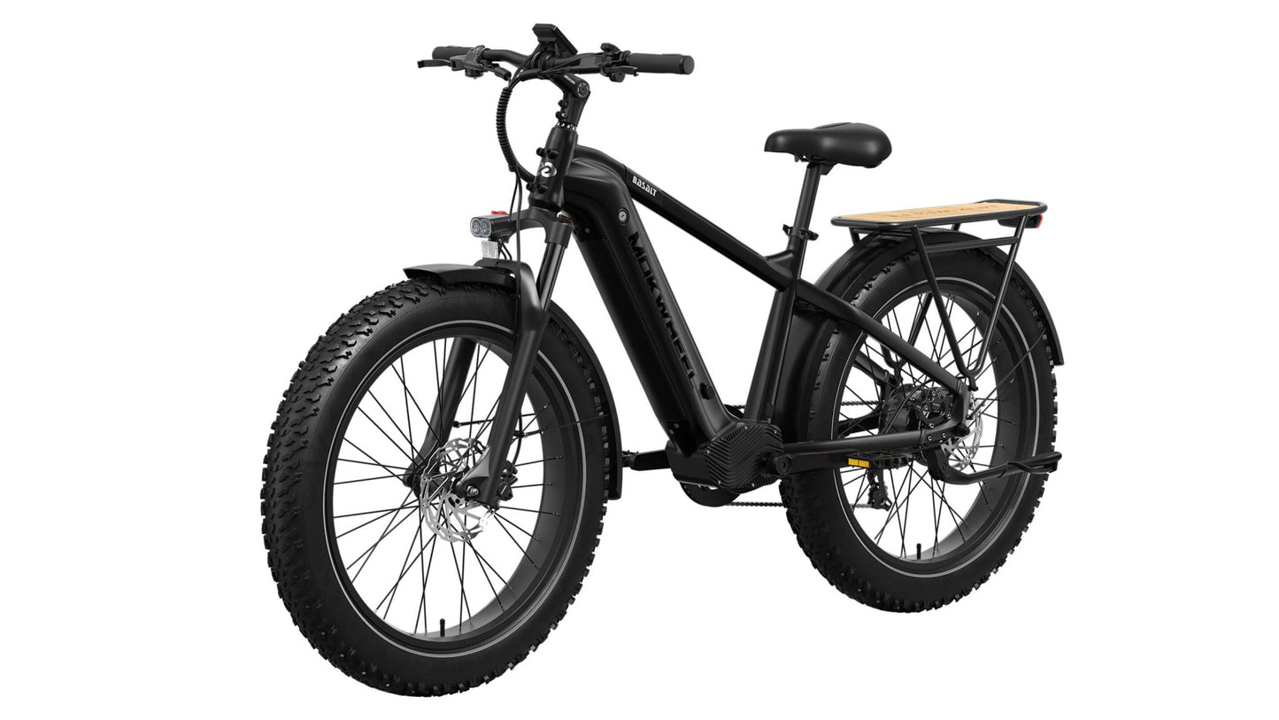Basalt Ebike
