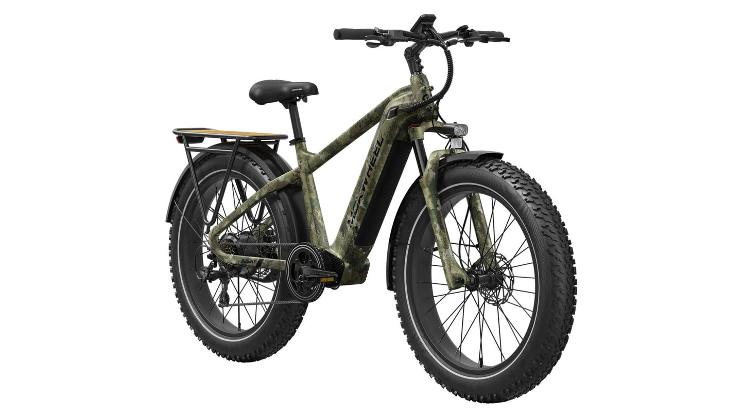 Basalt Ebike