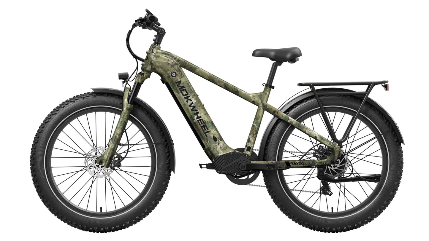 Basalt Ebike