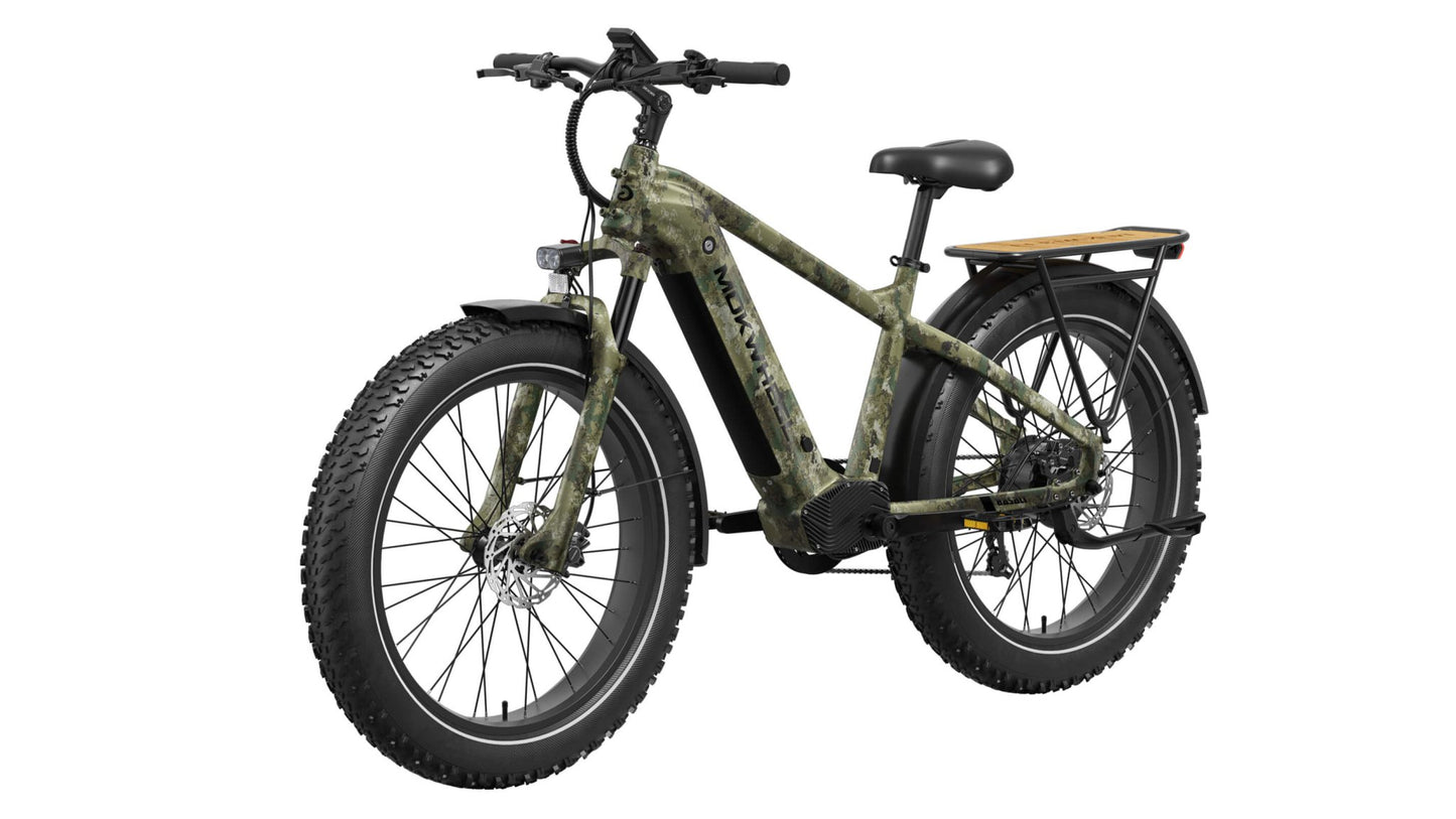Basalt Ebike