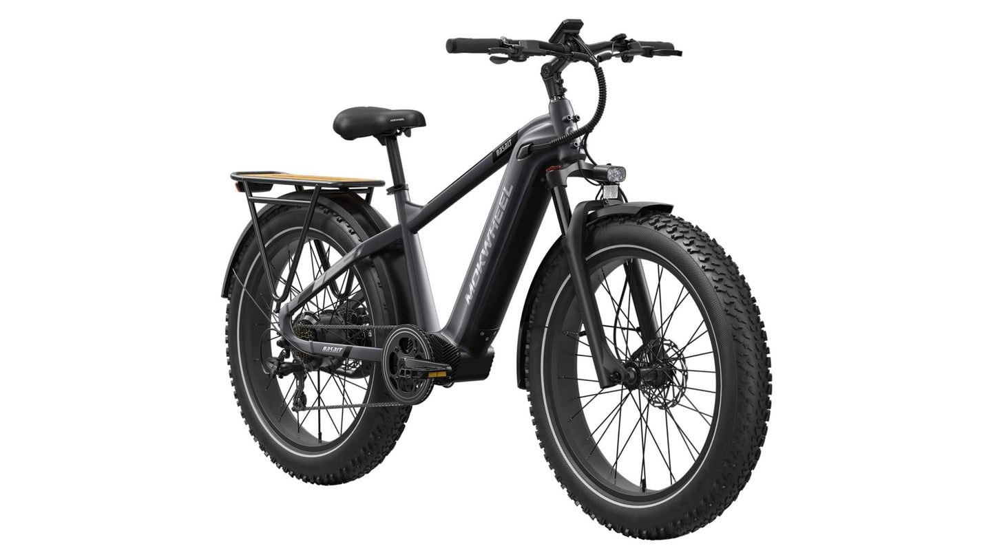 Basalt Ebike