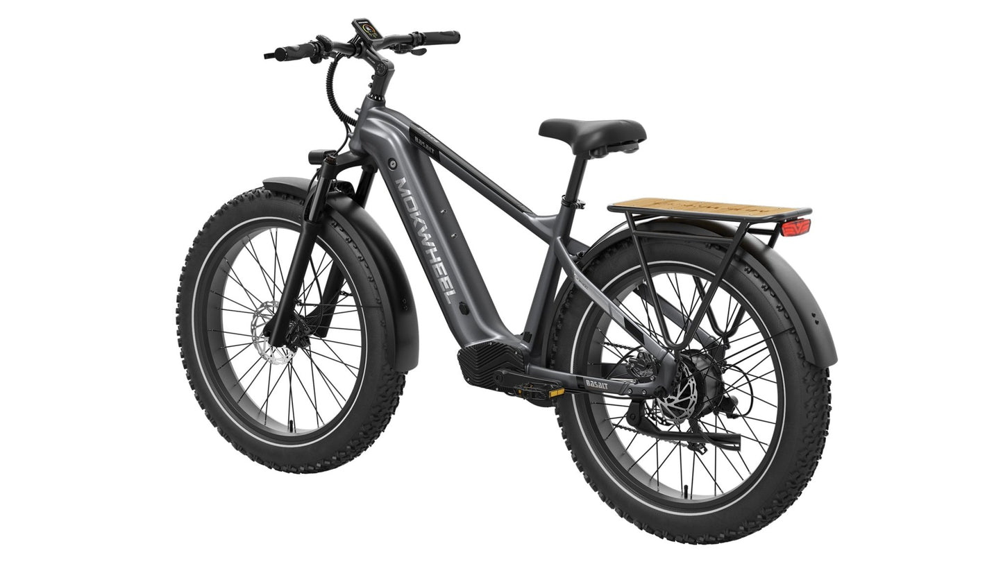 Basalt Ebike
