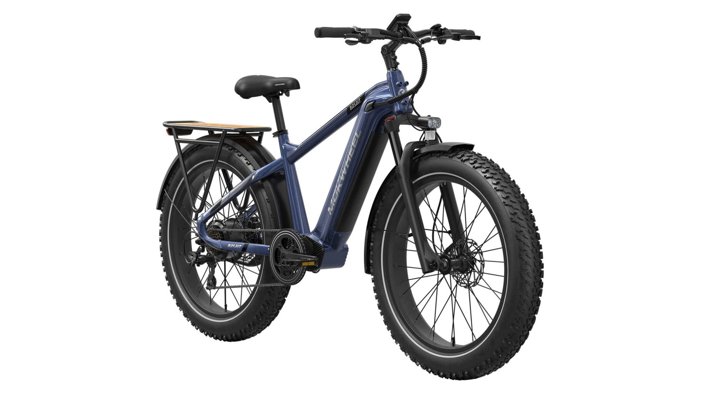 Basalt Ebike